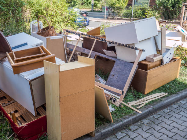 Best Demolition Debris Removal  in Romulus, MI
